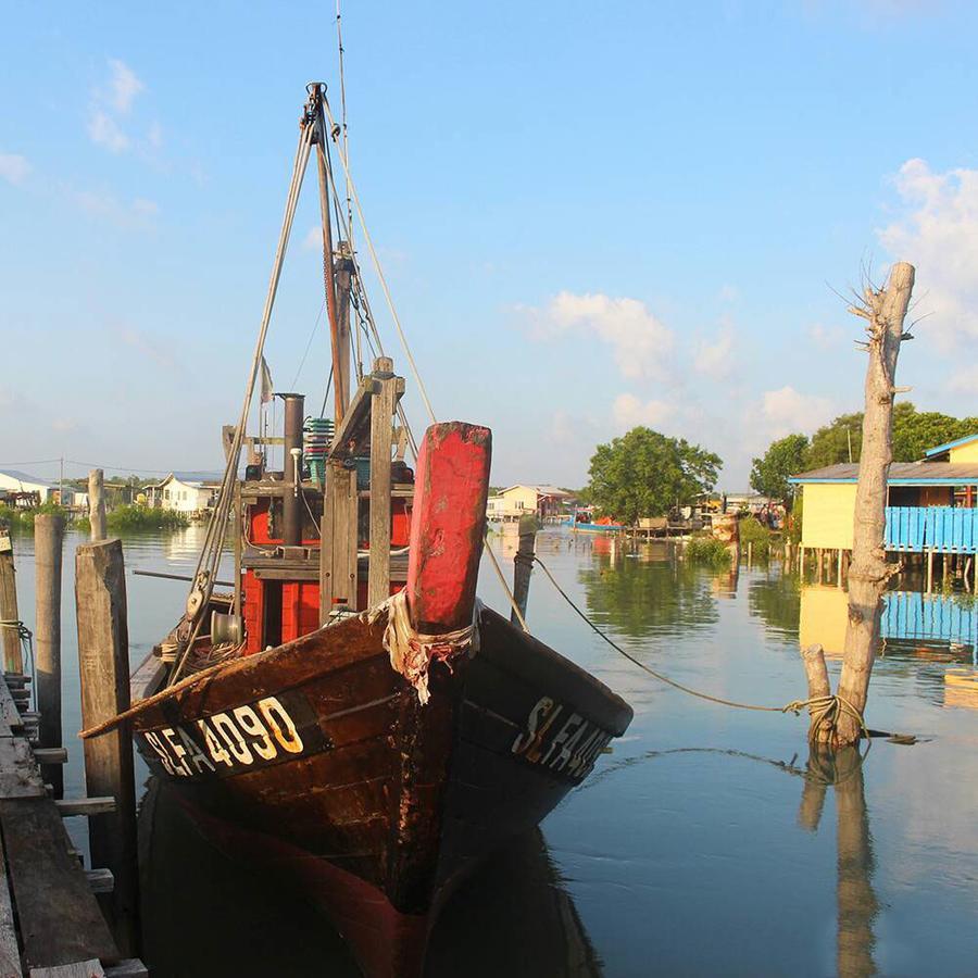Sea Lion Pulau Ketam Bungalow Homestay Bagan Teochew エクステリア 写真